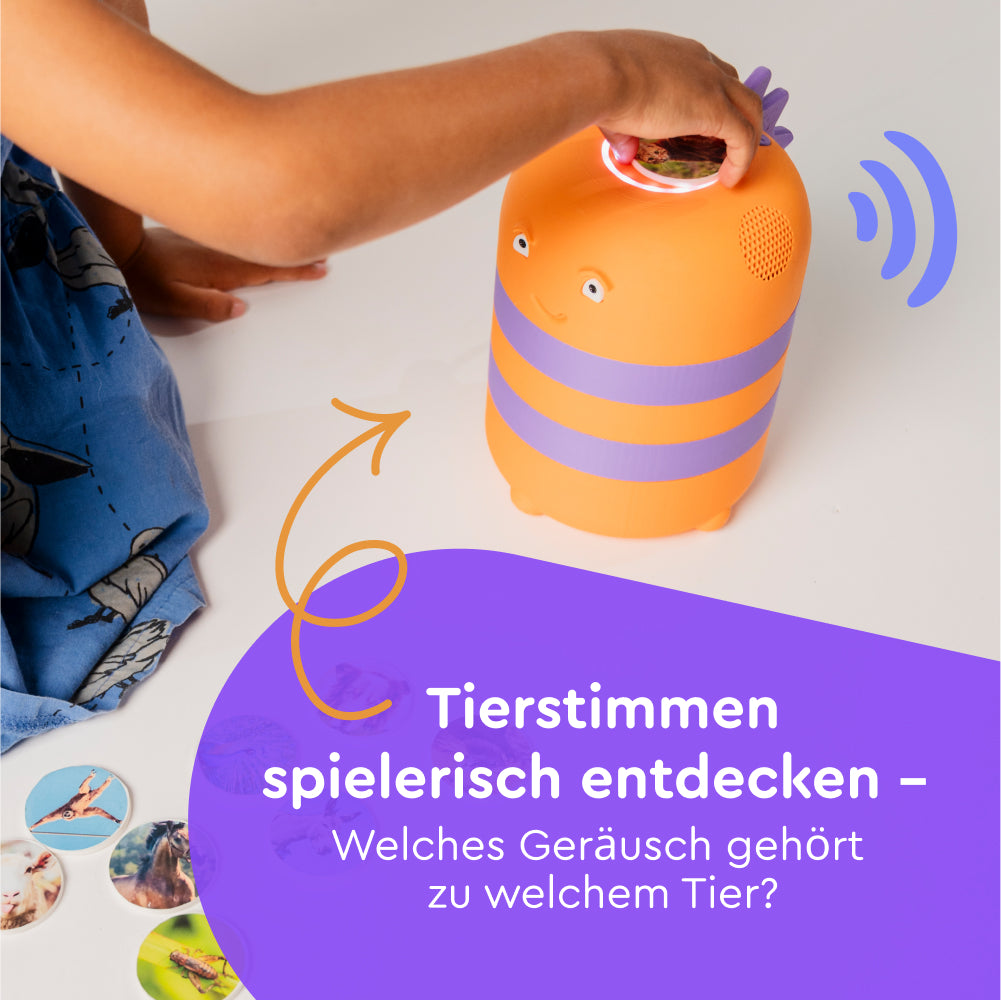 DEIN STARTER-SET